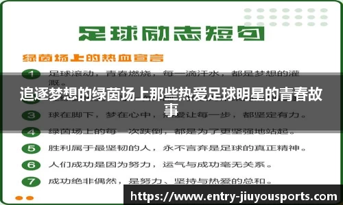 追逐梦想的绿茵场上那些热爱足球明星的青春故事